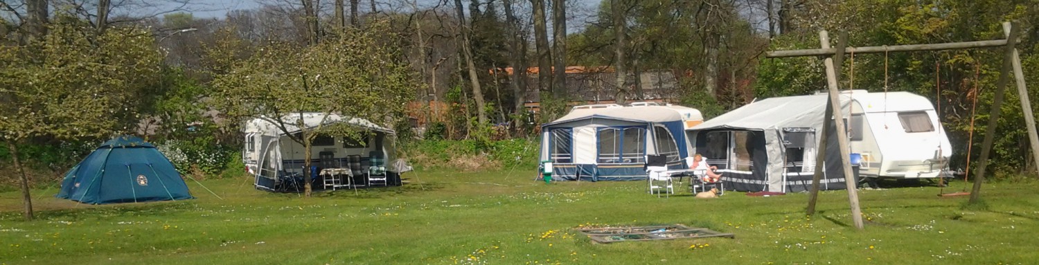 Minicamping De Appelhof — photo 4
